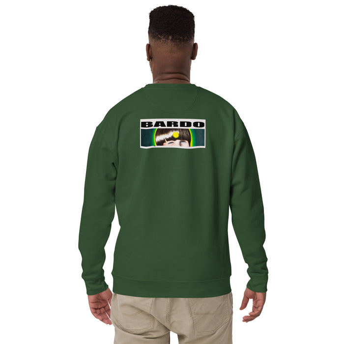 A man viewed from the back wearing a dark green crewneck sweatshirt with a rectangular graphic on the upper back that reads 'BARDO' above a multicolor design, paired with khaki pants, against a plain white background.